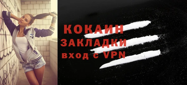 шишки Арсеньев