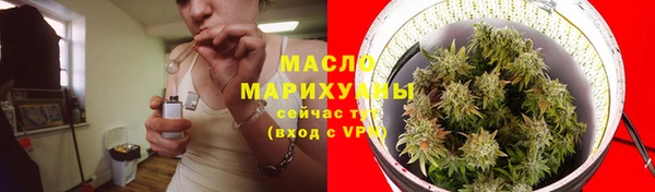 шишки Арсеньев