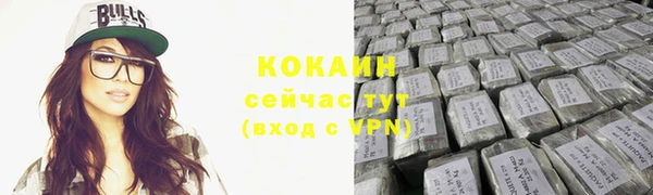 шишки Арсеньев