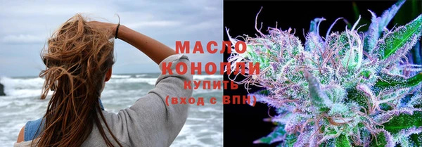 шишки Арсеньев