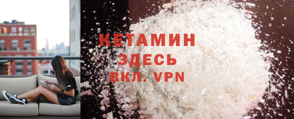 шишки Арсеньев