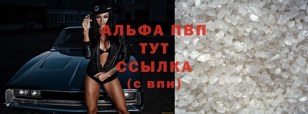 шишки Арсеньев