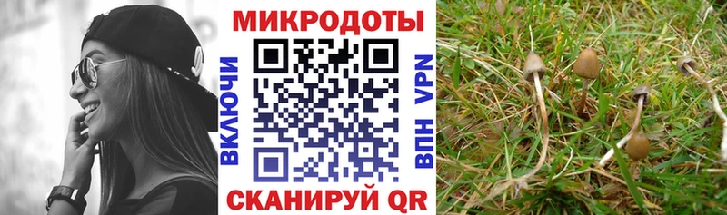 Галлюциногенные грибы Psilocybine cubensis Артёмовск